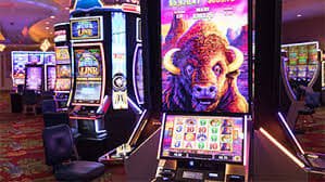 VIP Program Bonus qqqq333